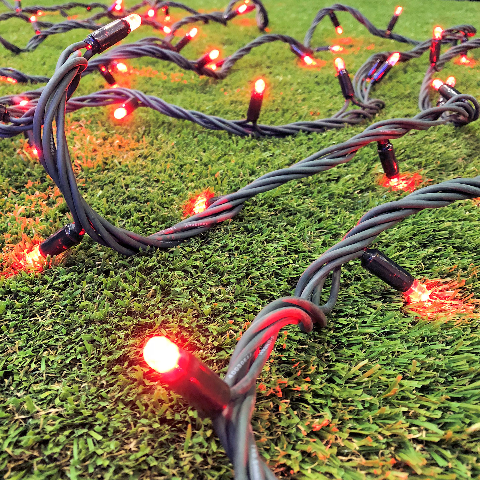 String Lights Festive Lighting Christmas Complete