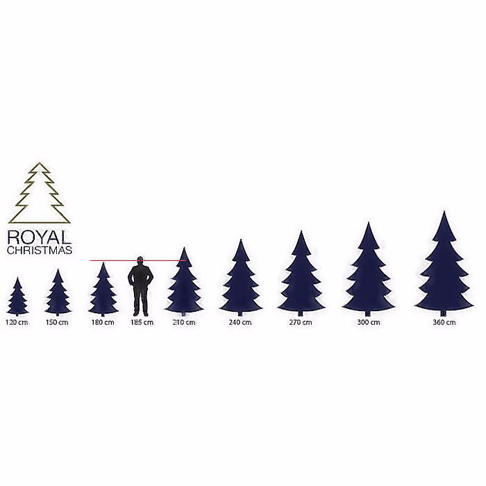 Victoria Christmas Tree Royal Christmas