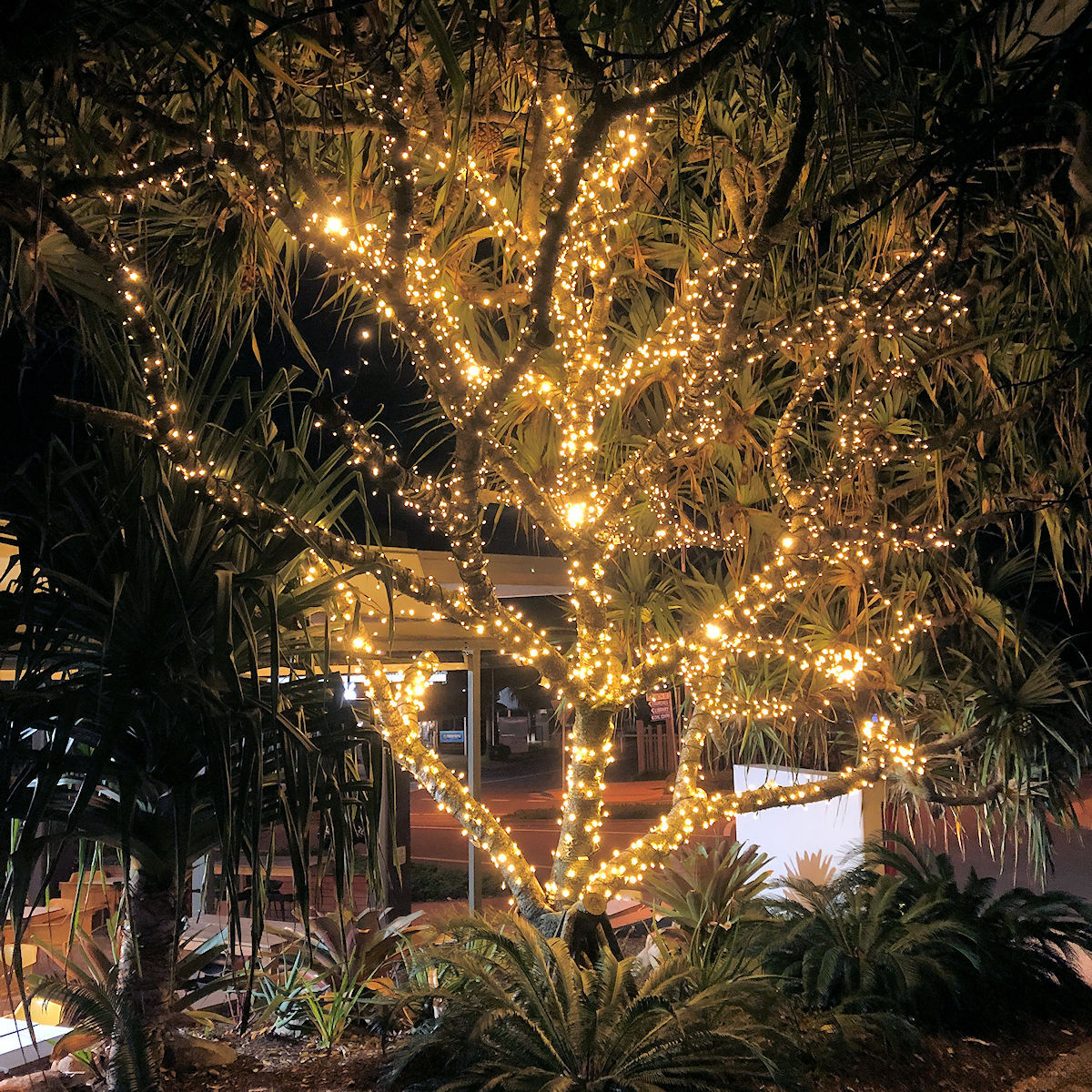 Low Voltage String Light WW 5m Christmas Complete