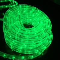 buy new led rope light 12 volt green 15 metres online from 12 volt christmas lights for boats