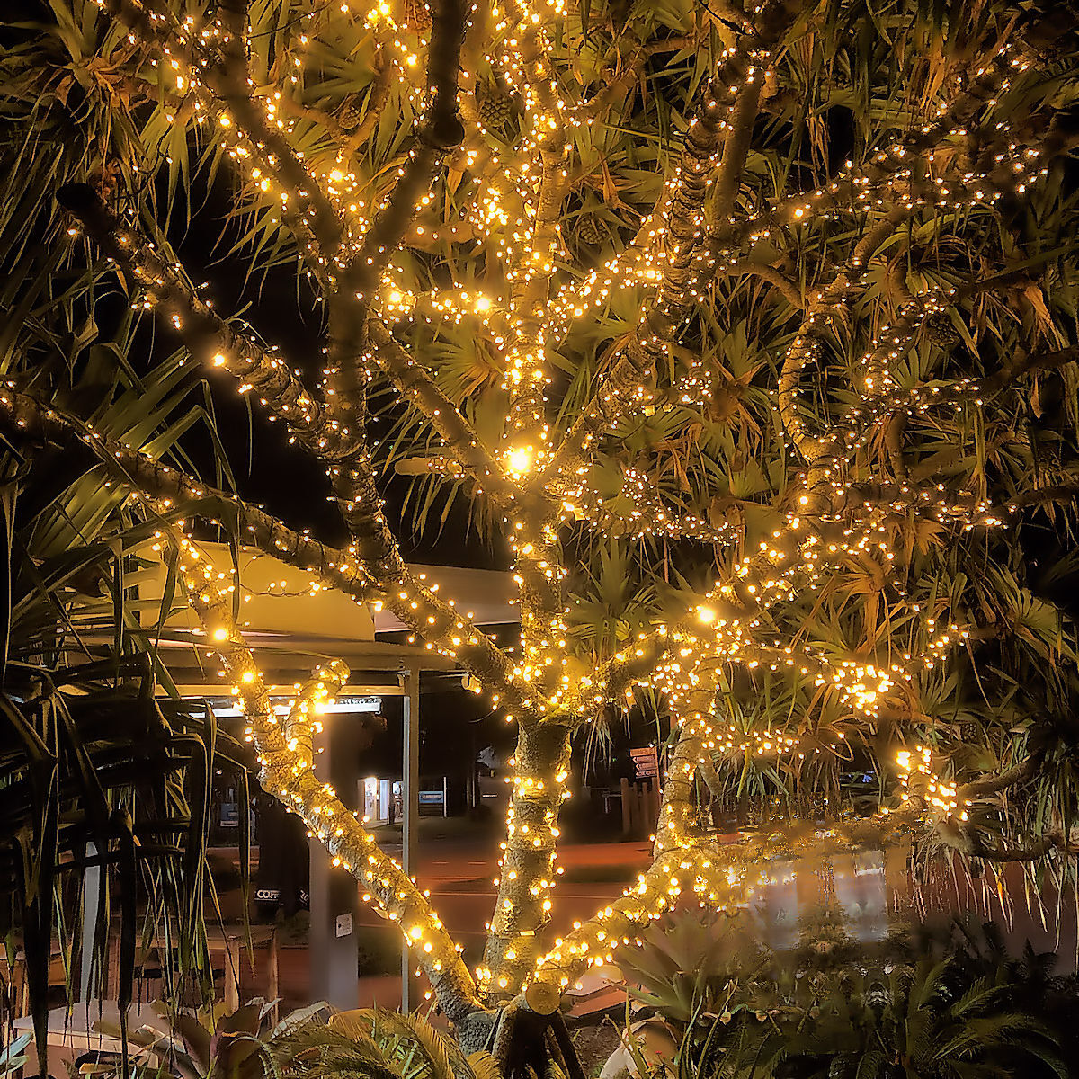 Low Voltage String Light WW 5m Christmas Complete