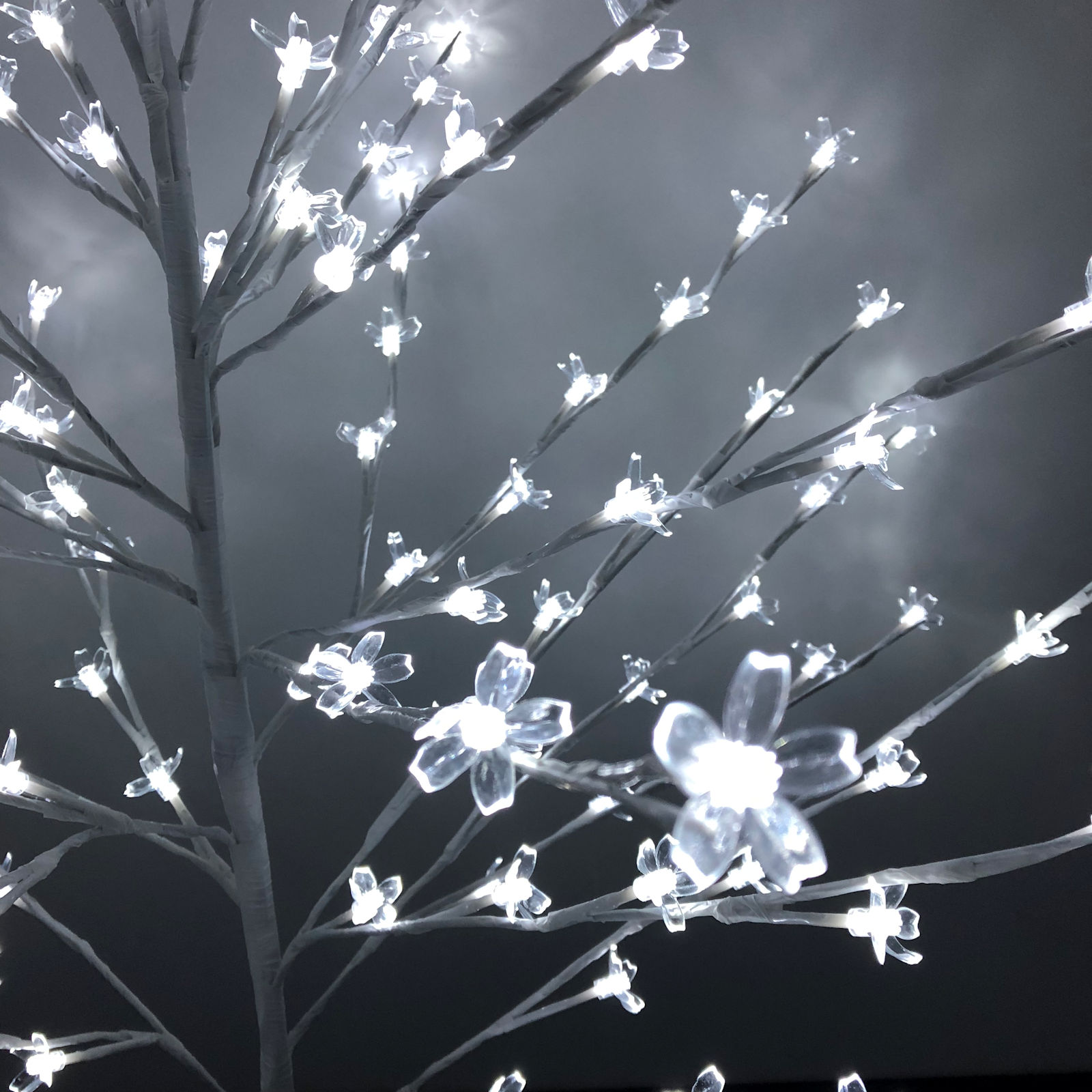 Buy New Indoor/Outdoor Cherry Blossom Twig Tree Light LED 1.5m