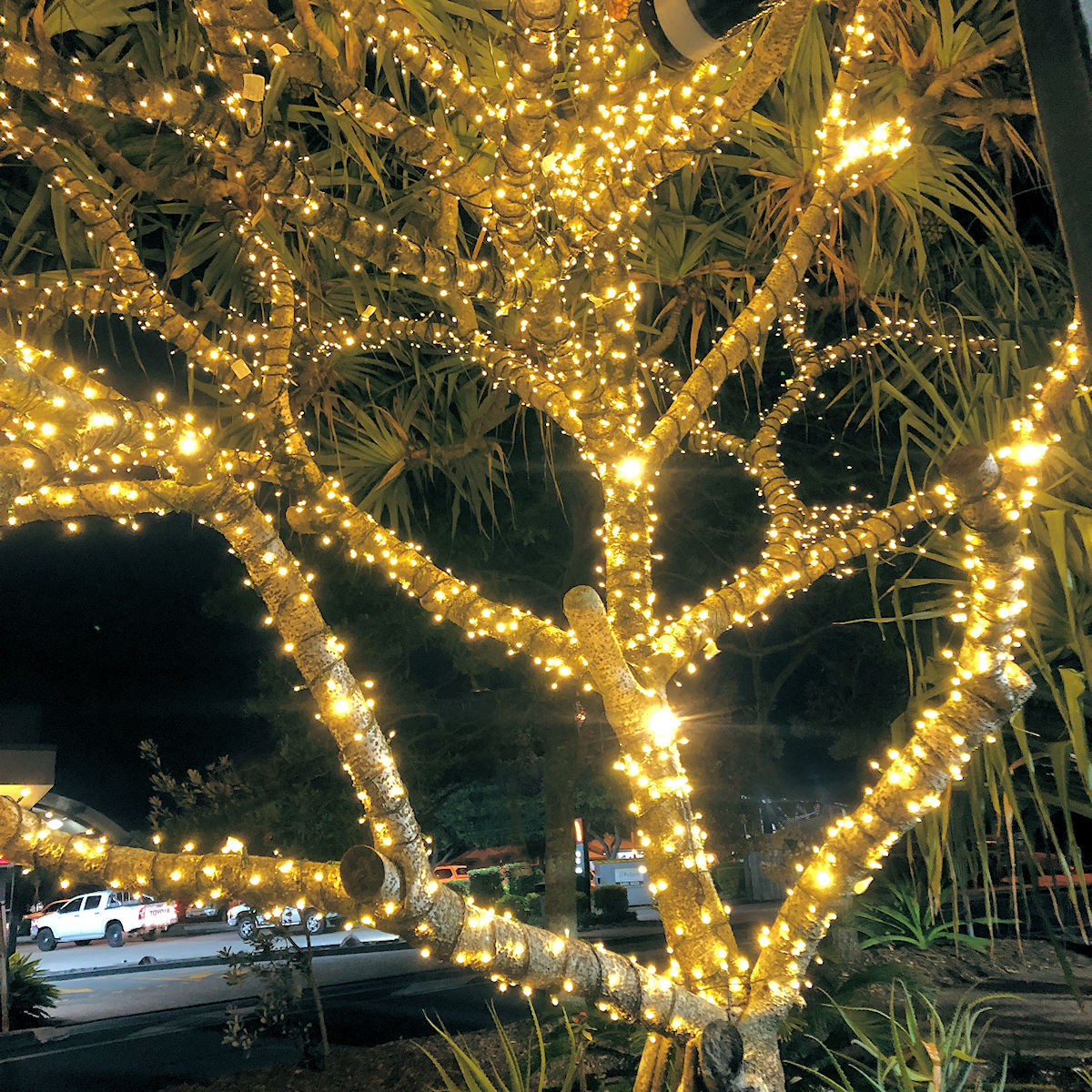 Low Voltage String Light WW 5m Christmas Complete