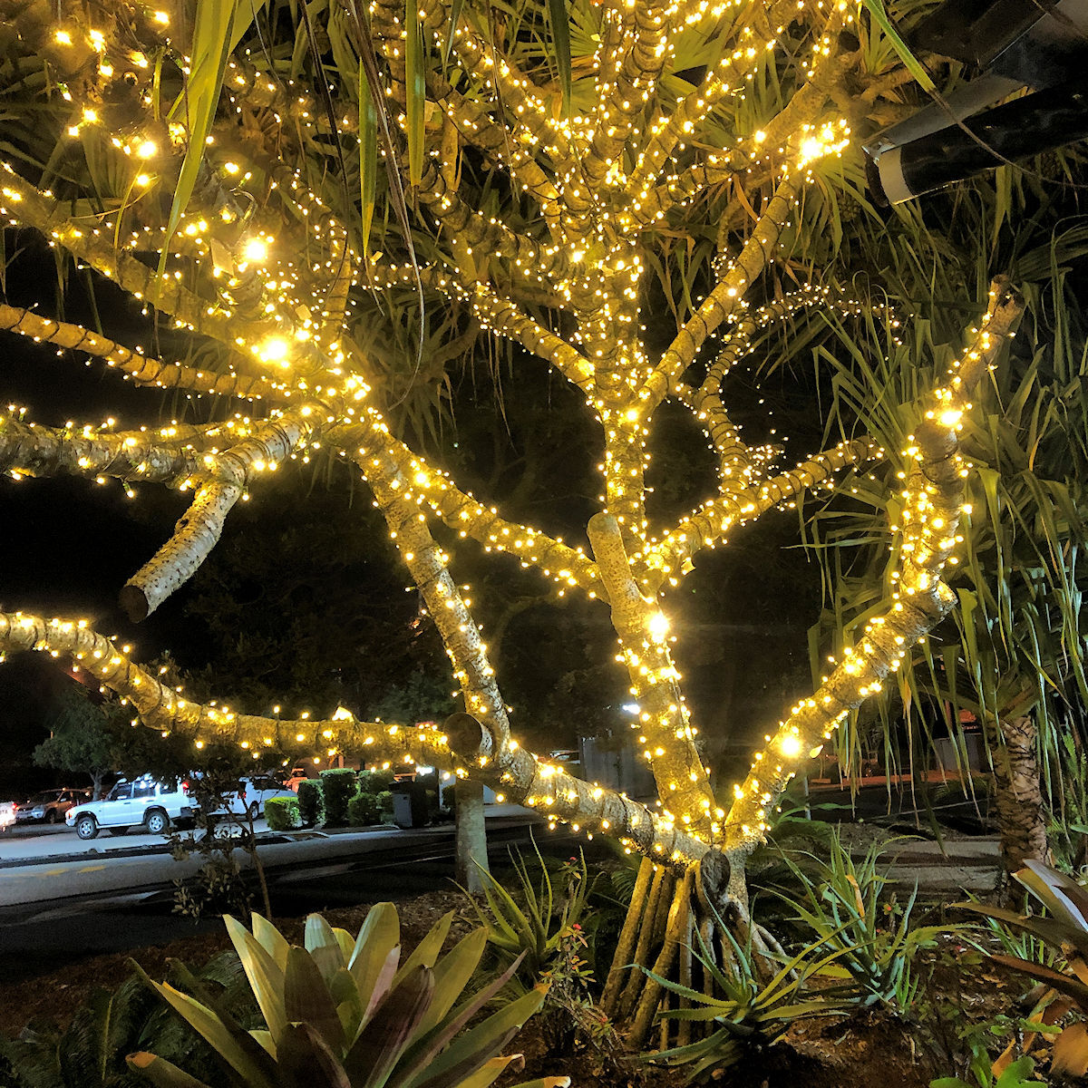 Low Voltage String Light WW 5m Christmas Complete