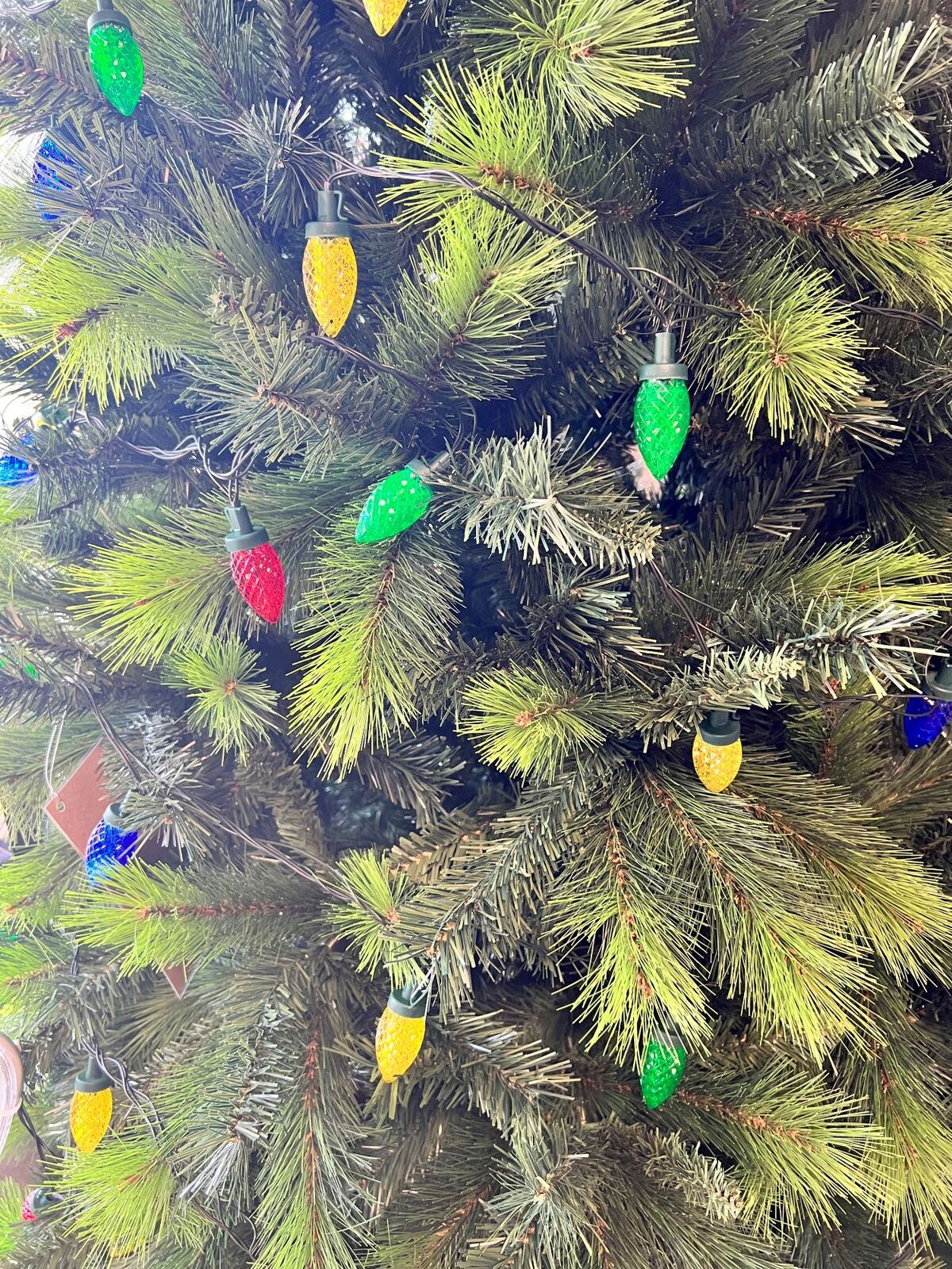 Harriet Green Needle Pine Christmas Tree We'll make your Christmas