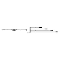 Motif Extension Splitters