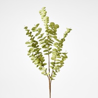 Eucalyptus Stem 77cm
