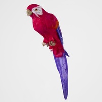Arnou Fuchsia Parrot 35cm