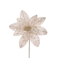 Sheer Champagne Glittered Poinsettia 40cm