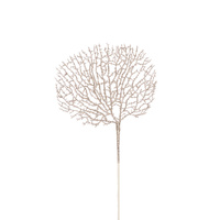 Champagne Sea Fan Pick 55cm
