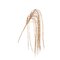 Gold Hanging Drop 105cm