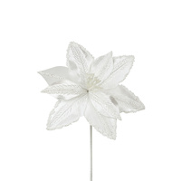 White Poinsettia 30cm