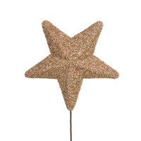 Champagne Sparkly Star 30cm