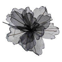 Black Sheer Flower w. Black Edge 40cm