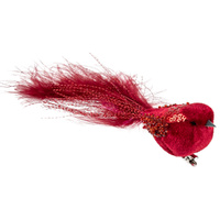 Velvet Red Bird 15cm