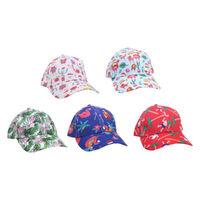 Baseball Cap Summer Christmas 1pc 5 Asst