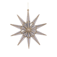 10 Point Hanging Star Champagne 16cm