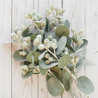 Tetragonia Nut Spray Green 41cm