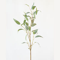 Eucalyptus Spray Grey Green 99cm