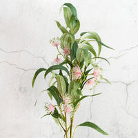 Flowering Gum Spray Pink 80cm