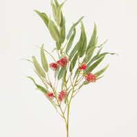 Flowering Gum Spray Red 80cm