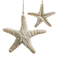 Ivory Starfish 15cm