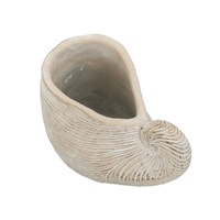 Nautilus Shell 29cm
