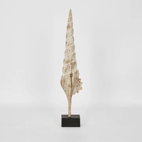 Cerith on Stand 64cm