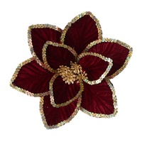 Burgundy Poinsettia w. Gold Edge