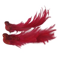 Radient Red Bird Asst 