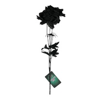 Cat Eye Rose Black 
