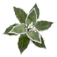 Sage Poinsettia w. White Edge 32cm