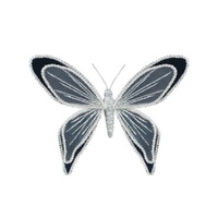 Navy Butterfly Clip 19cm