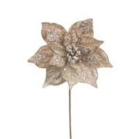 Champagne Velvet Poinsettia w. Beads 26cm