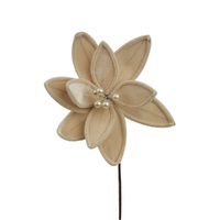 Champagne Velour Poinsettia 28cm