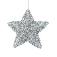 Five Point Sequin Star Silver 29cm