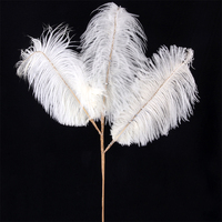 Ivory Feather Stem 70cm