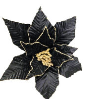 Black Gold Poinsettia 50cm