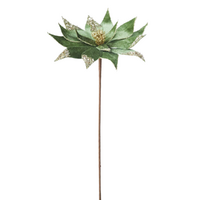 Poinsettia Stem Sage Green 64cm