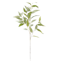 Eucalyptus Spray Green 97cm