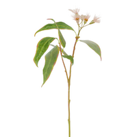 Eucalyptus Flower Spray Green Pink 55cm
