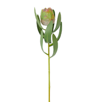 Baby Protea Stem Dusty Green 48cm