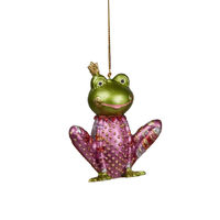 Frog in Pink Clothes Hanging