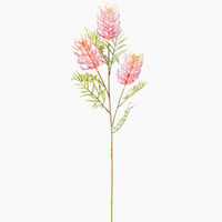 Grevillea Spray Pink 82cm