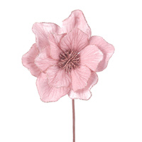 Pale Pink Magnolia 26cm 