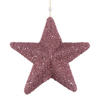 25cm Rose Hanging Star
