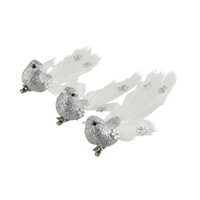 Bird Silver Jewel Tail 1pc 3A 10cm