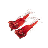 Bird Matt Red 1pc 2 Assorted 10cm