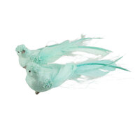 Bird Matt Mint 1pc 2 Assorted 22cm