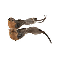 Bird Speckled Natural 1pc 2A 20cm